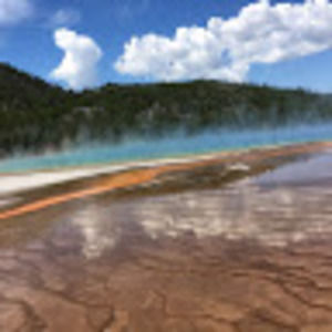 Meet your Posher, Shreya